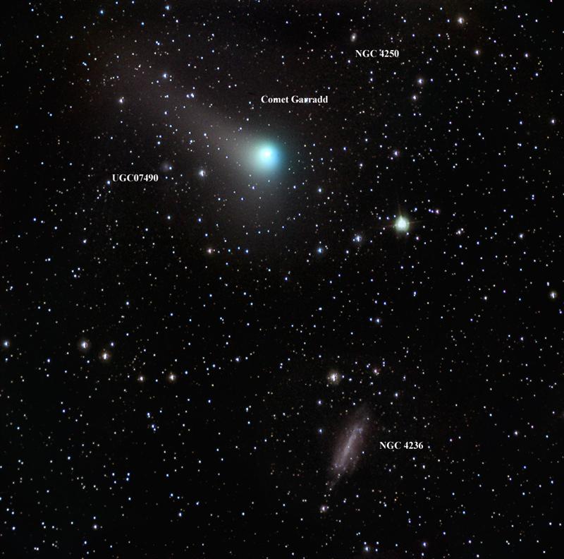 The NGC 4236 Galaxy & Comet Garradd