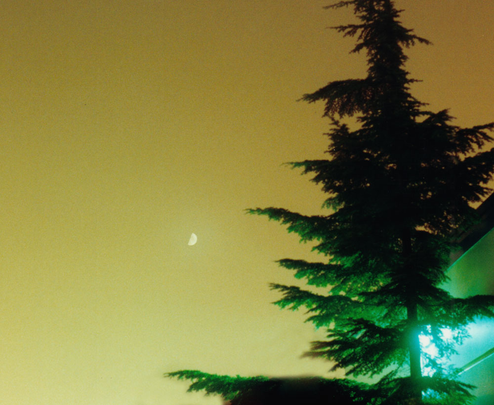 foggy night