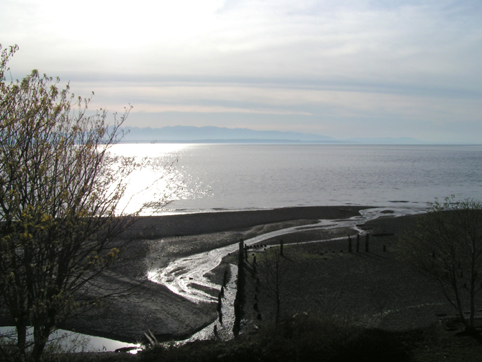 The way to the sea