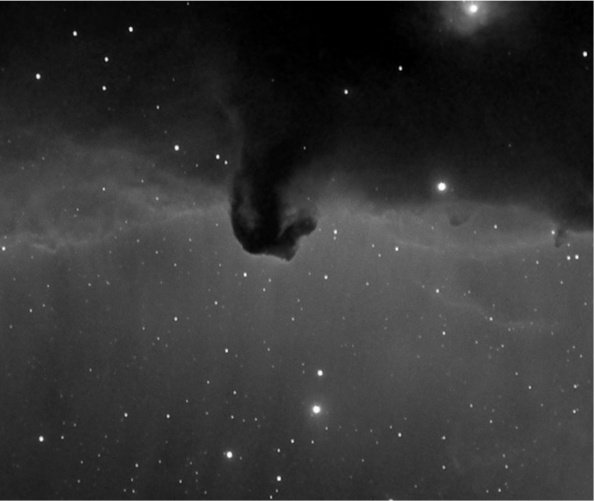Horse Head Nebula