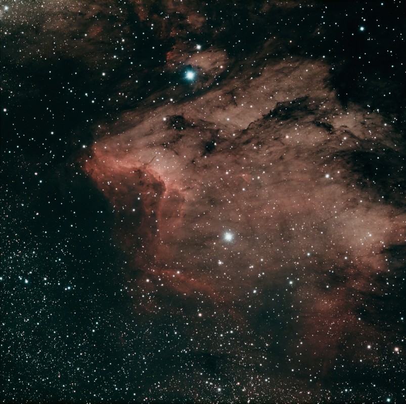 The Pelican Nebula