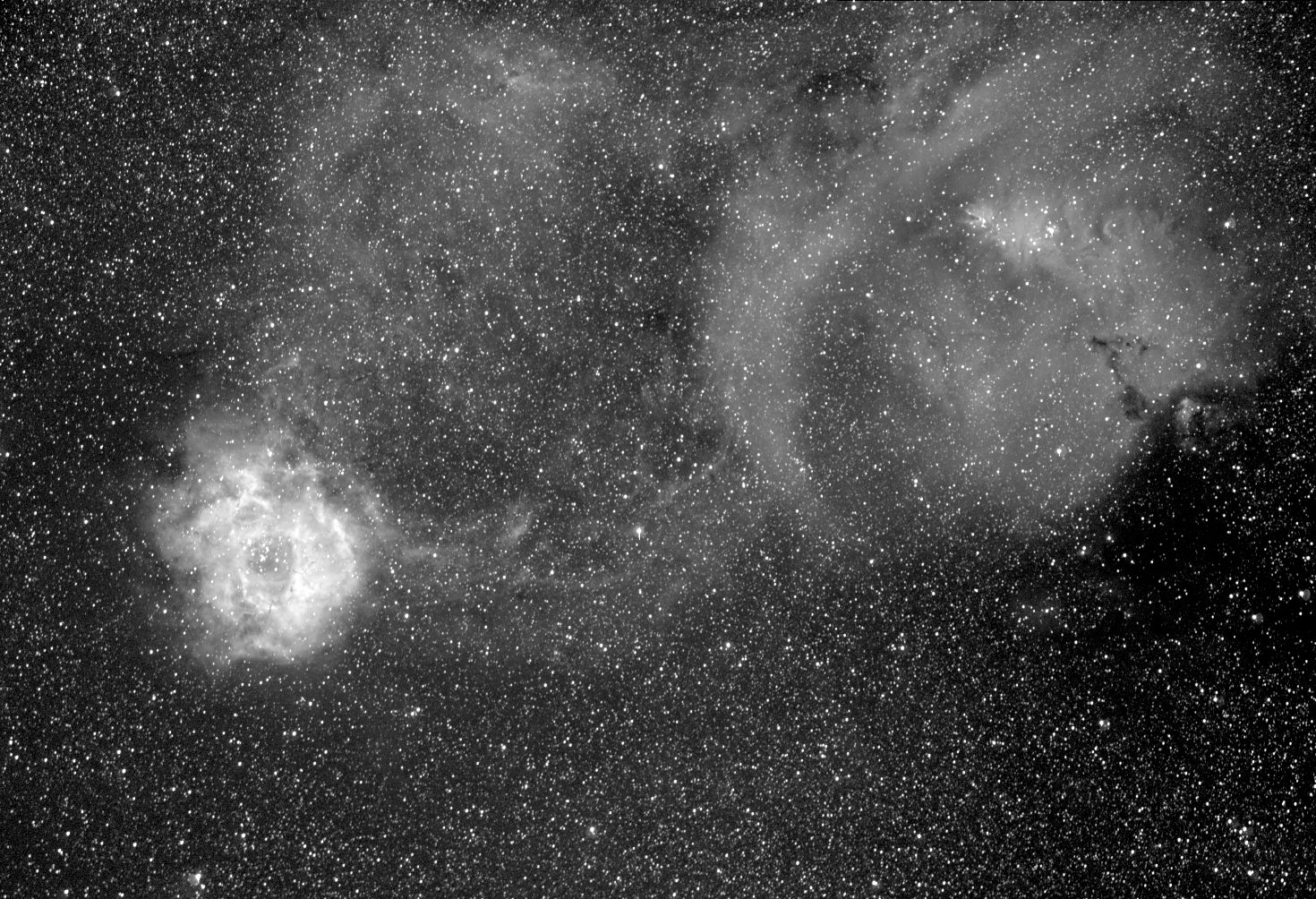 Rosette and Cone Nebulae