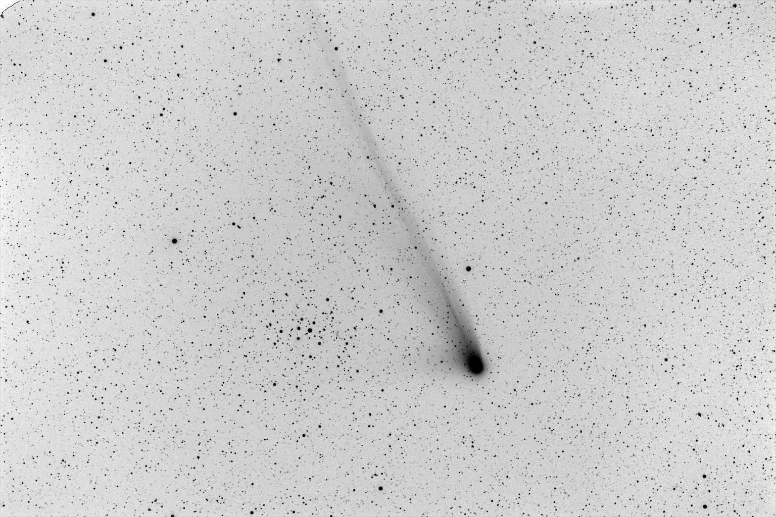 Comet NEAT and M44
