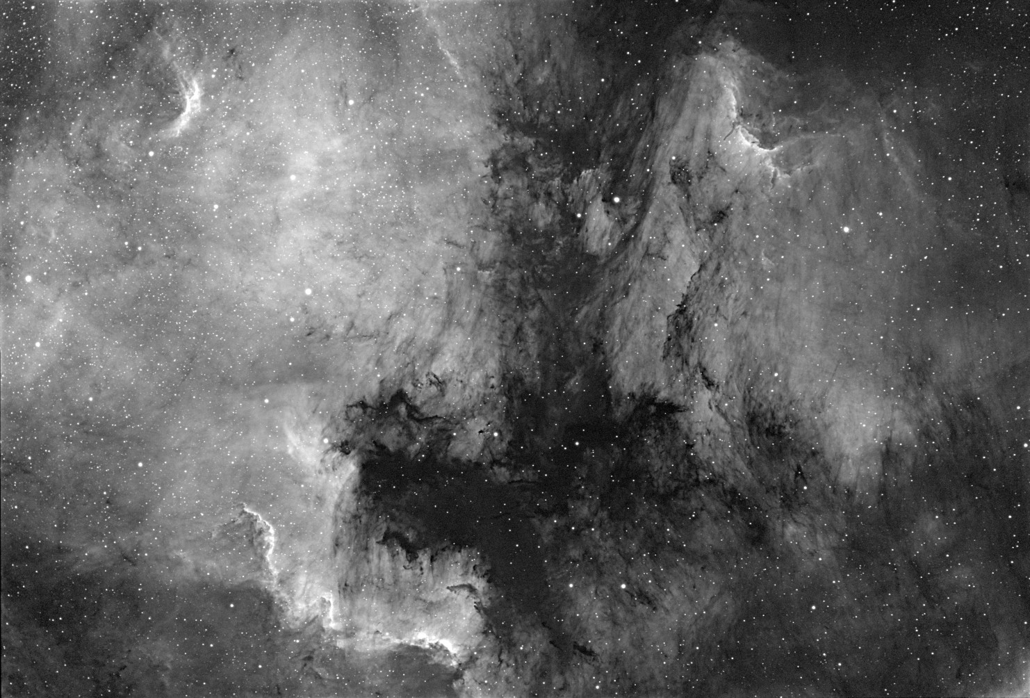 North American and Pelican Nebulae