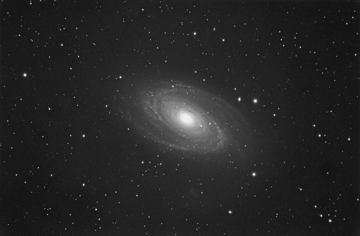 M81 luminance