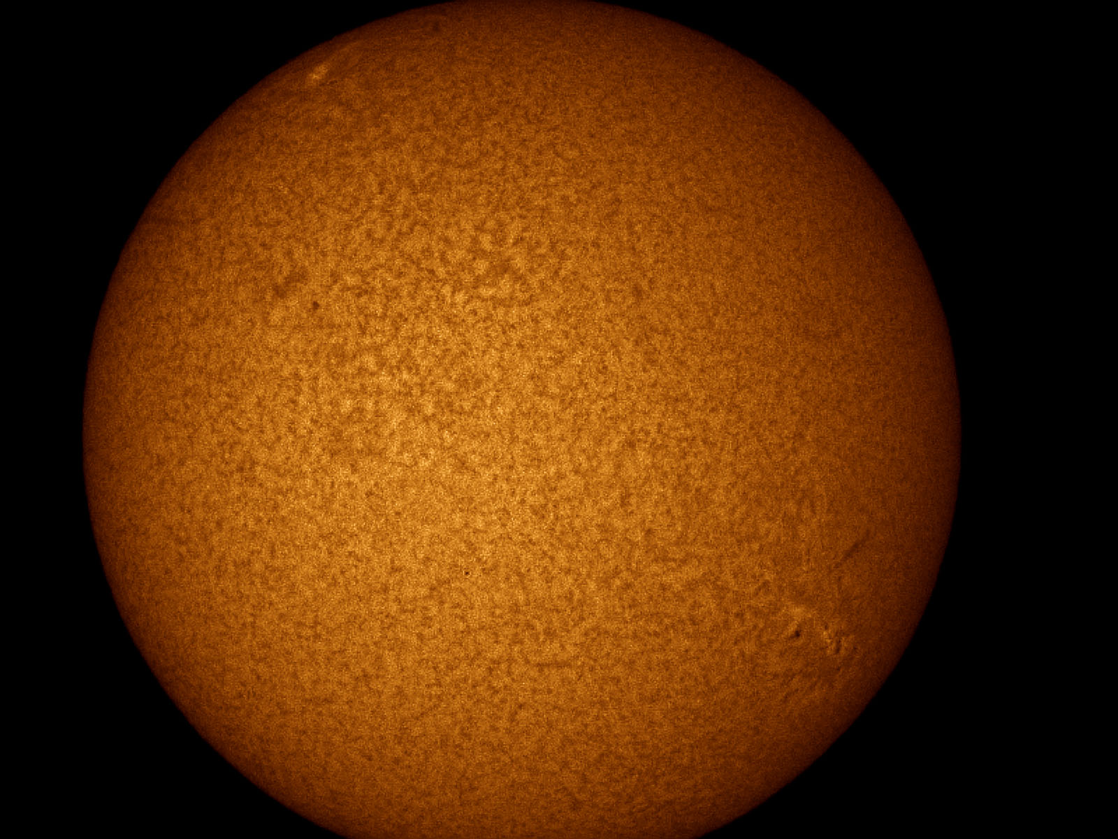 Sun in H-alpha 5-29-2004