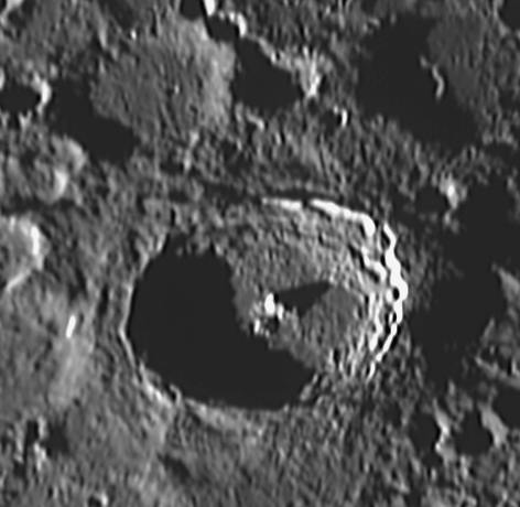 Tycho