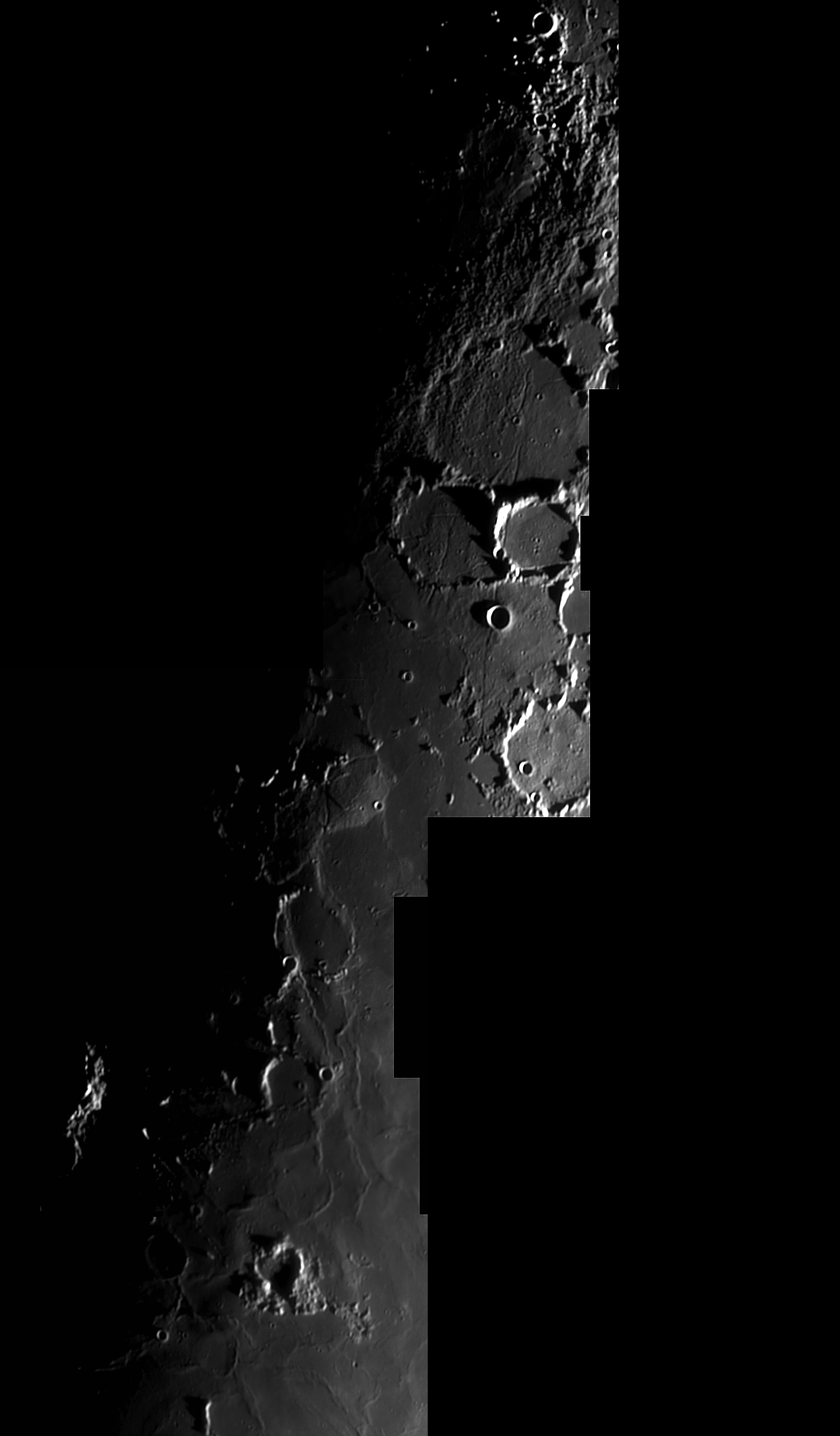 Fra Mauro - Wolf