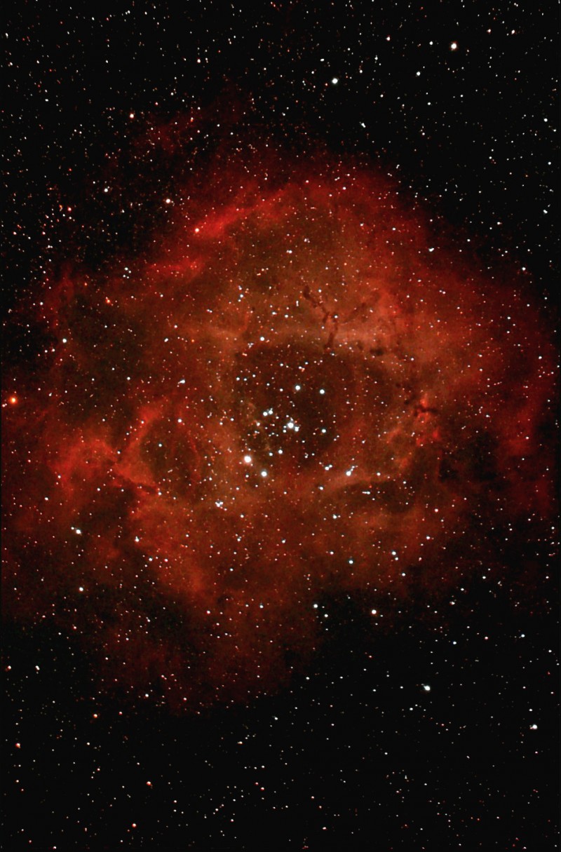 Rosette over Texas