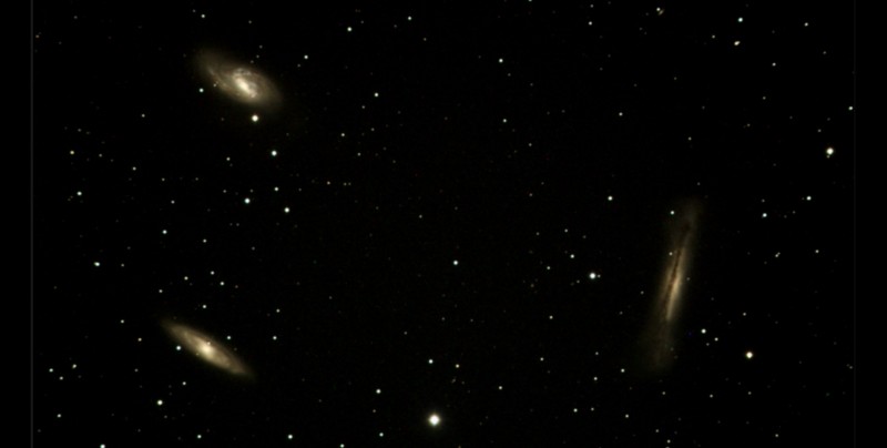 Leo Trio