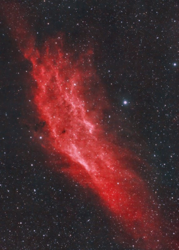 California Nebula