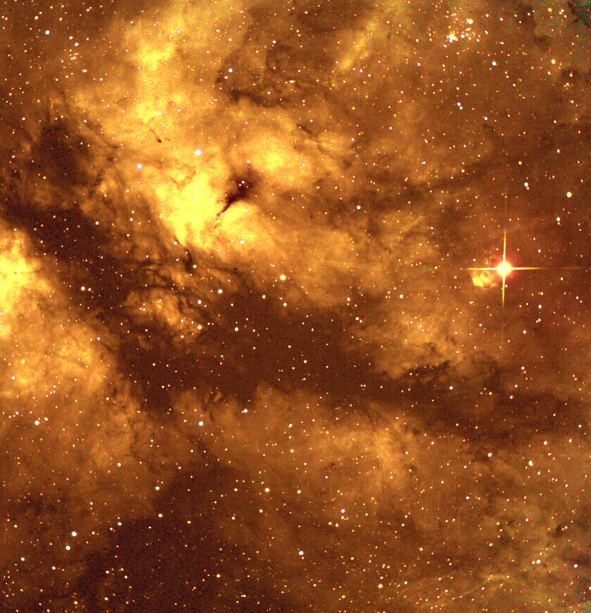 Gama Cygni Nebula