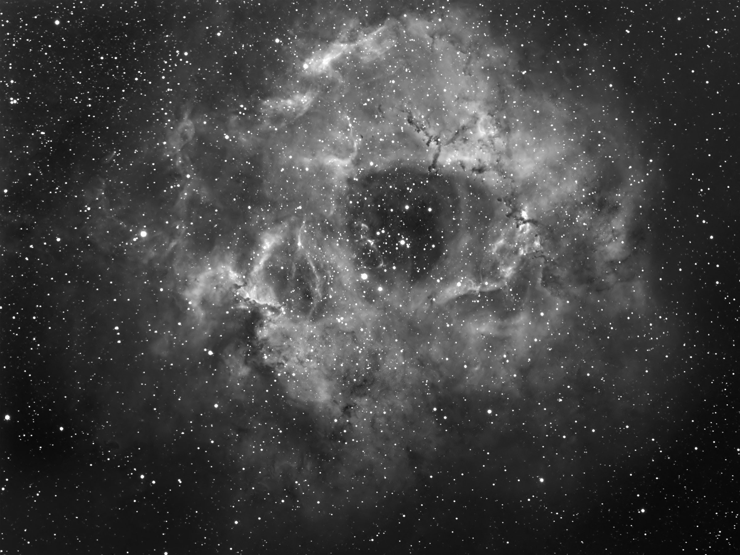 Rosette large mosaic