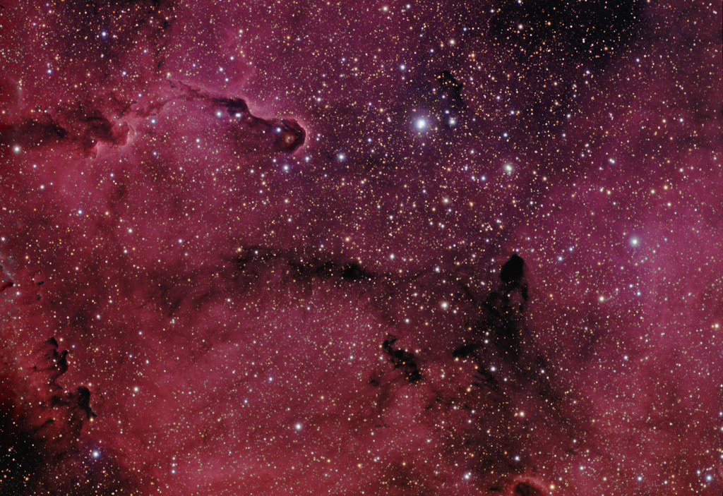 IC 1369 nebular complex