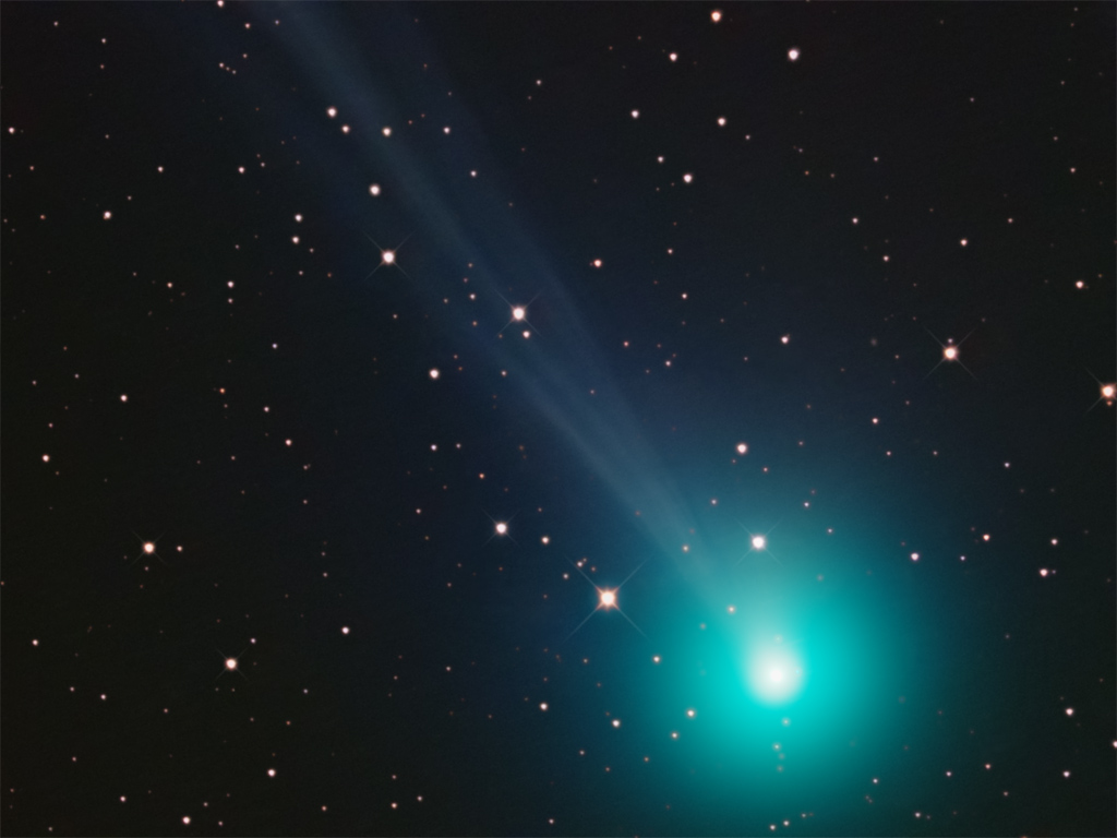 Comet Swan