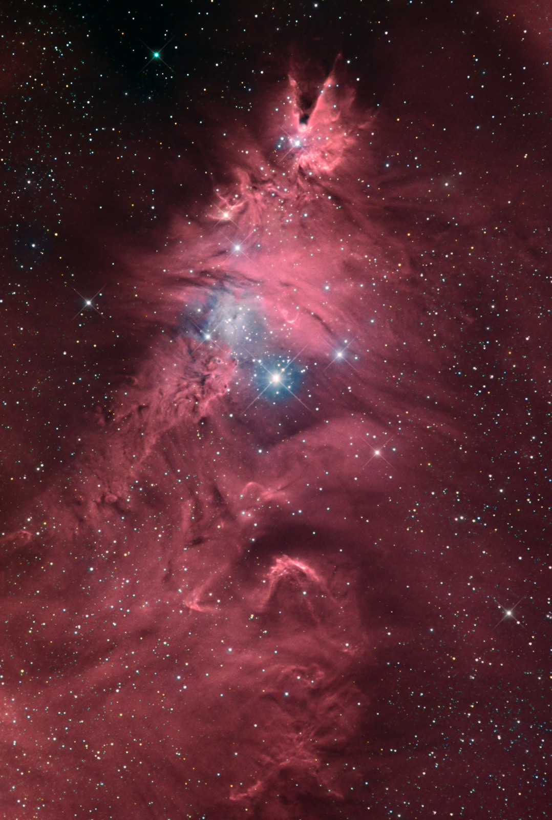 The Christmas Tree Nebula
