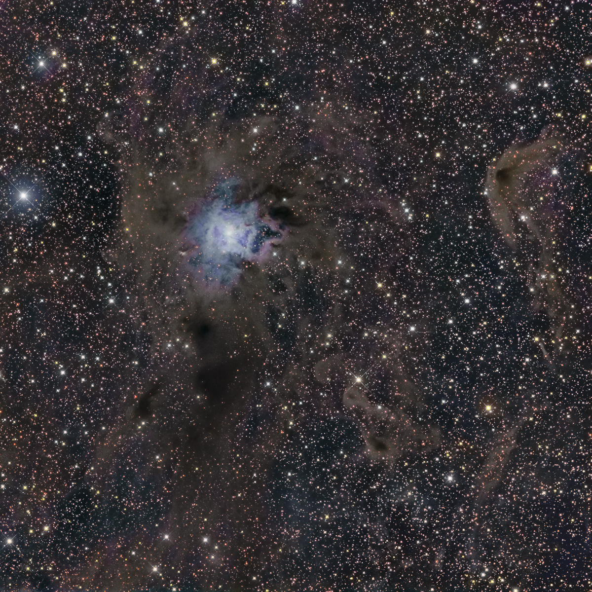 Wide & deep Iris field