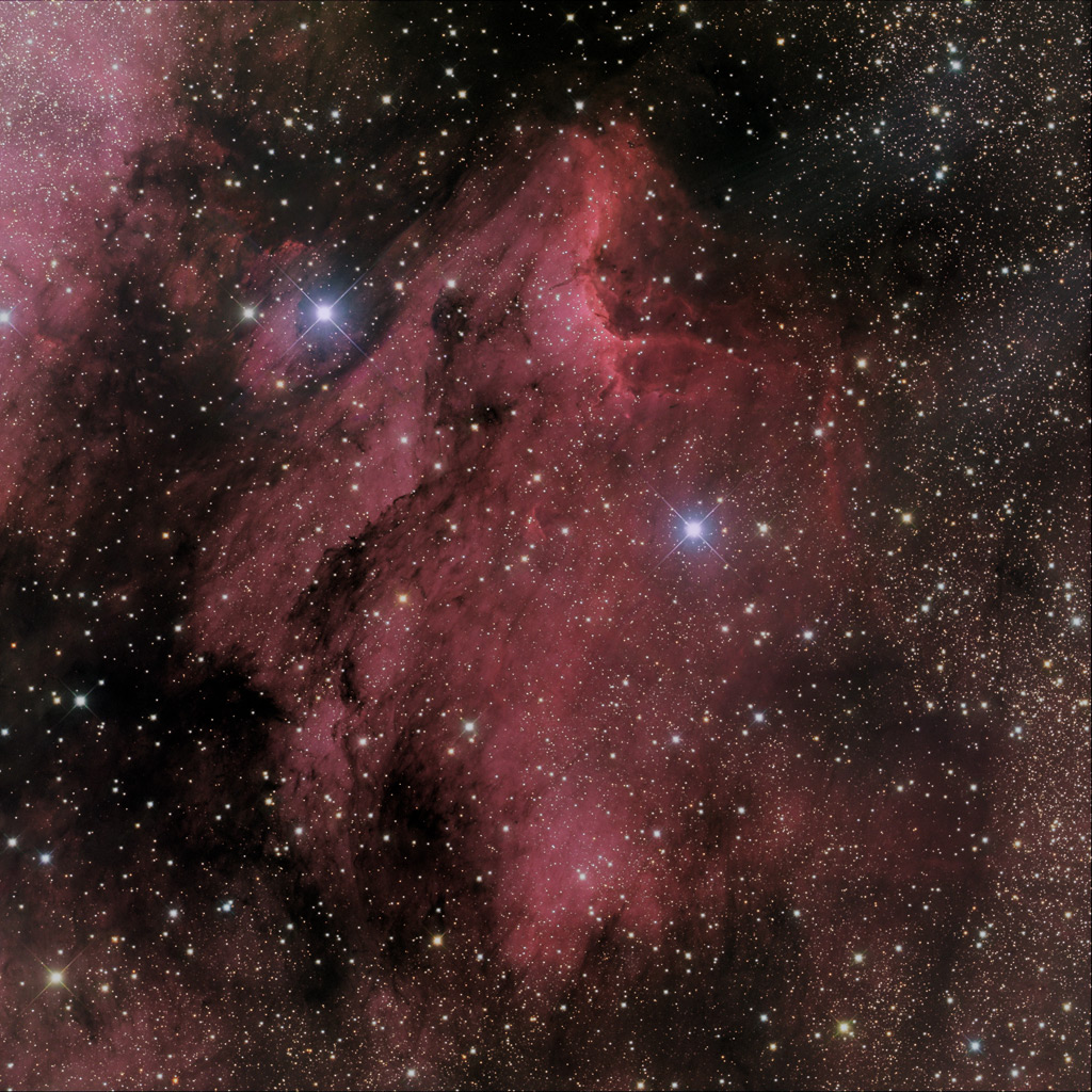 The Pelican nebula