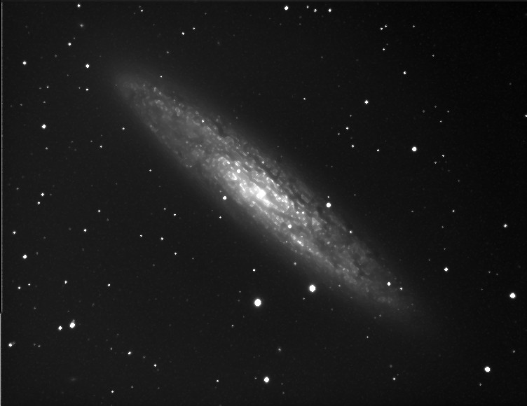 NGC253