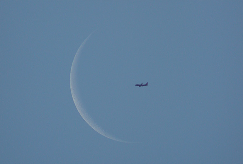 Ticket to the Moon