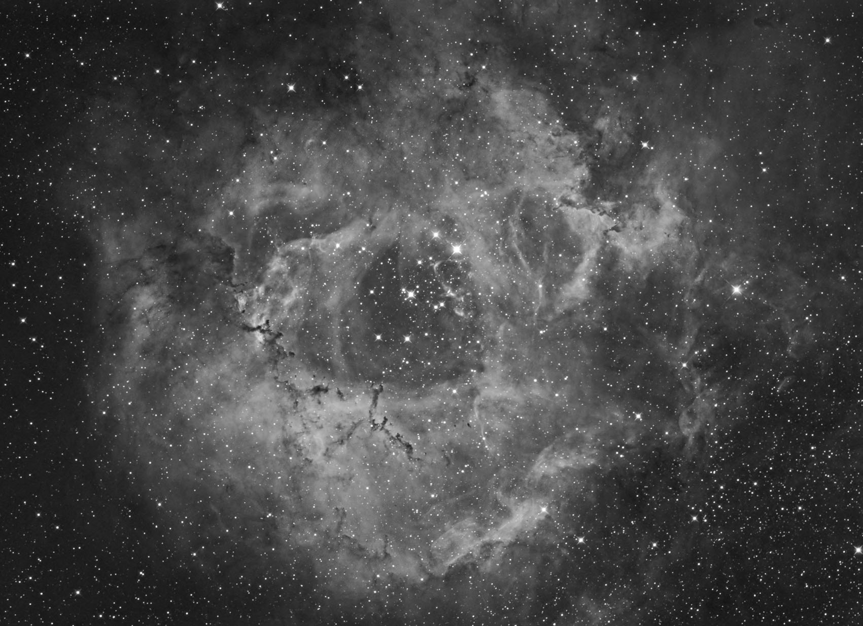 Rosette Mosaic in Ha