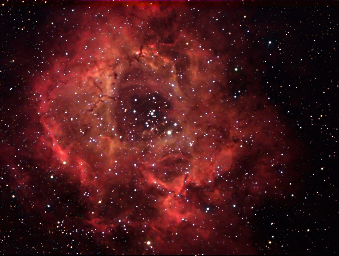 NGC 2237 image