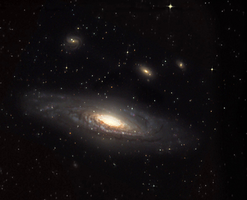 NGC 7331 & companions image