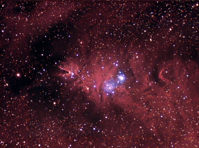 The Christmas Tree Nebula image