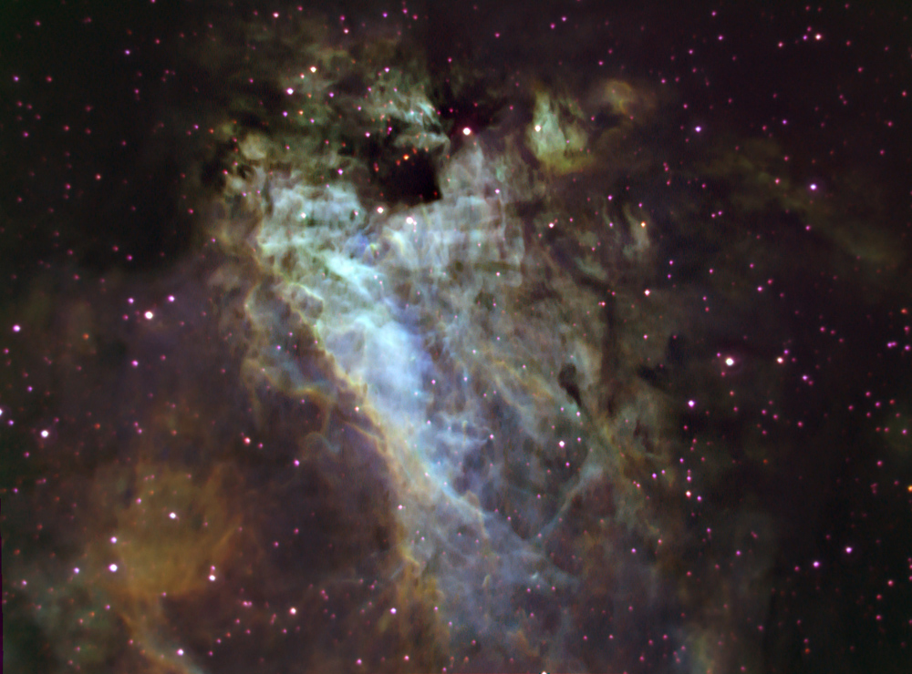 M17 - E-Line Swan image
