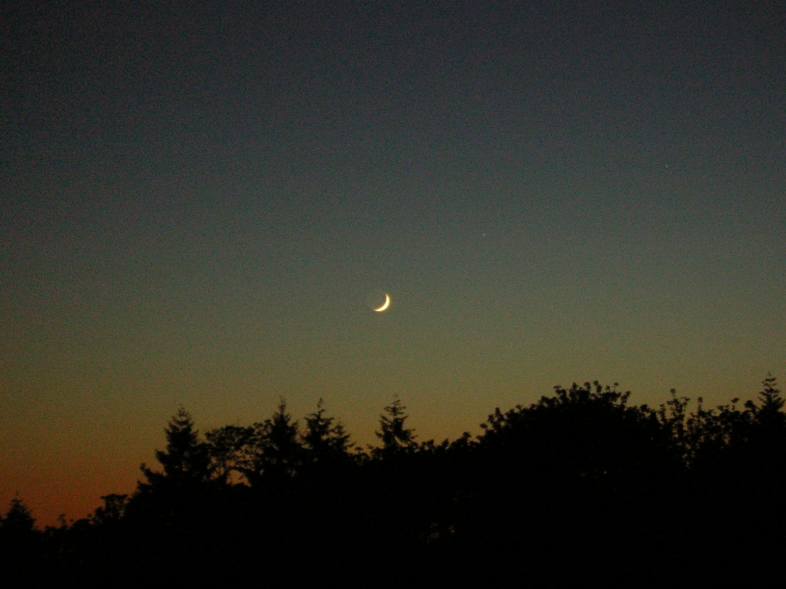 Earthshine