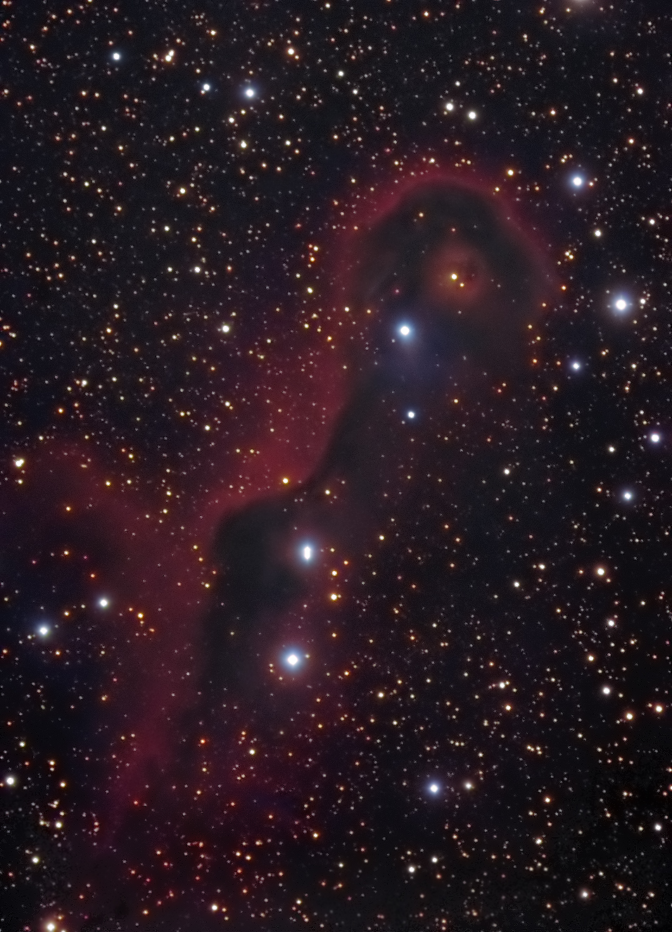 vdb142