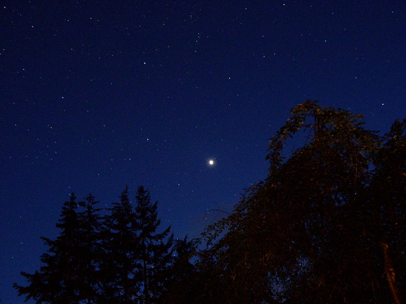 Venus Shines