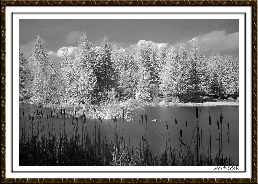 Lake in infrared