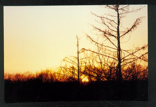 sunset at the patterson monument