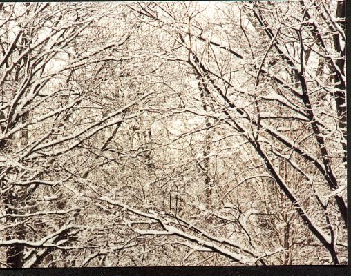 march snow