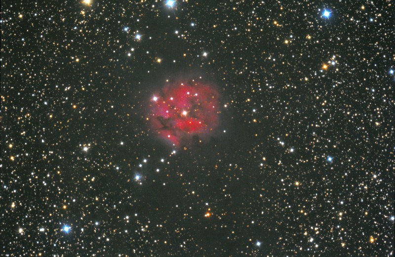 IC-5146 THE CACOON NEBULA