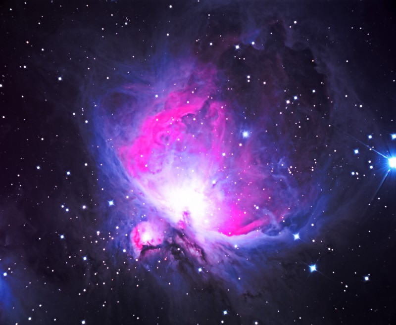 THE GREAT ORION NEBULA 