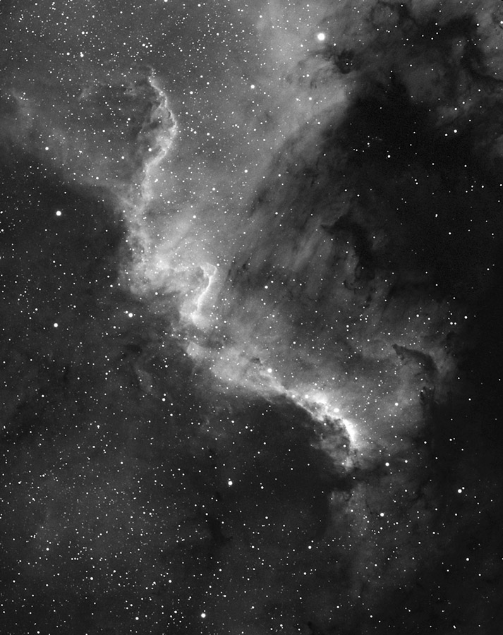 NGC 7000