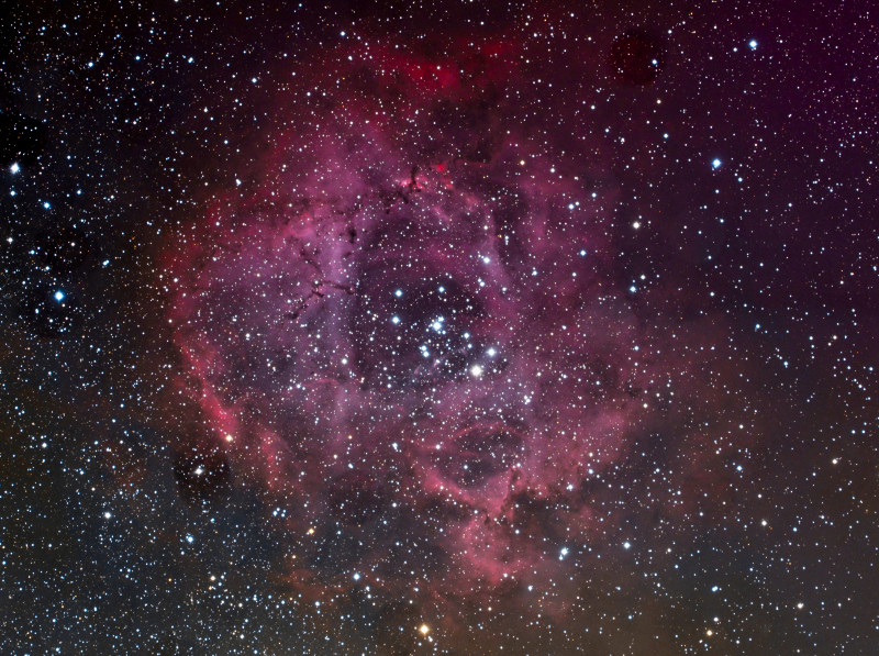 Rosette Nebula 