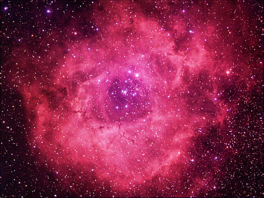 Rosette