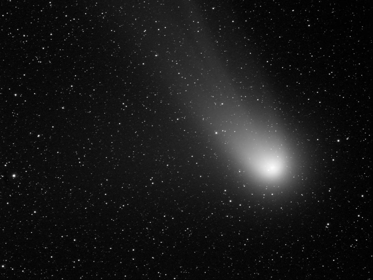 Comet NEAT