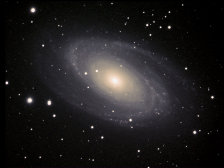 M81