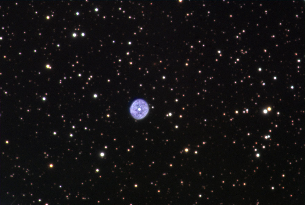 NGC-1501