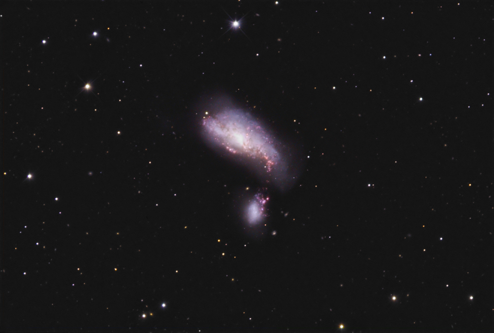 NGC-4490