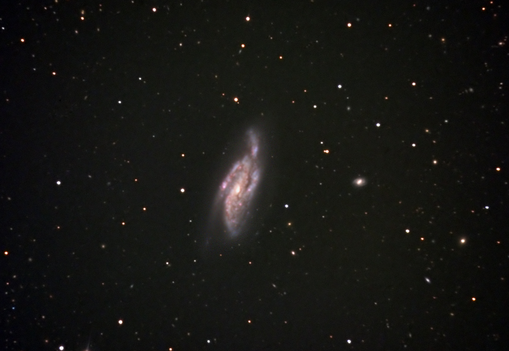 NGC-4088