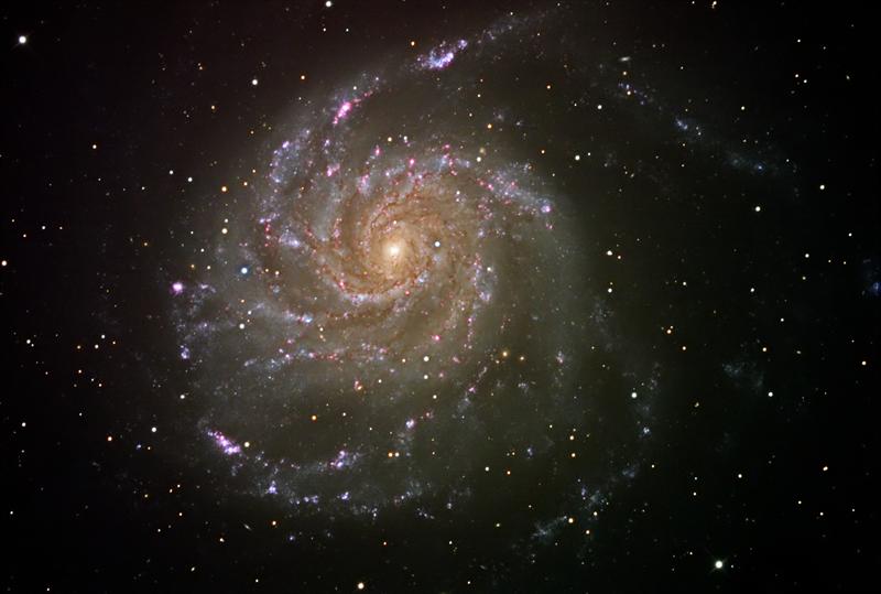 M-101 with supernova