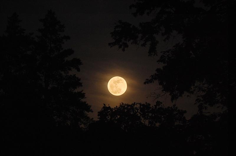 2012 Super Moon