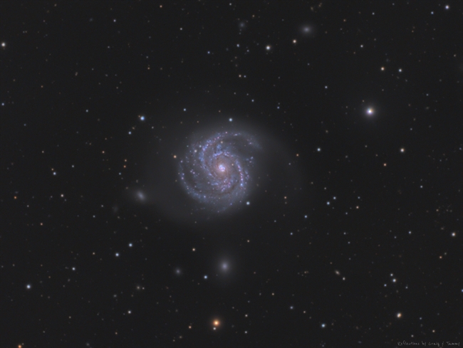 M100