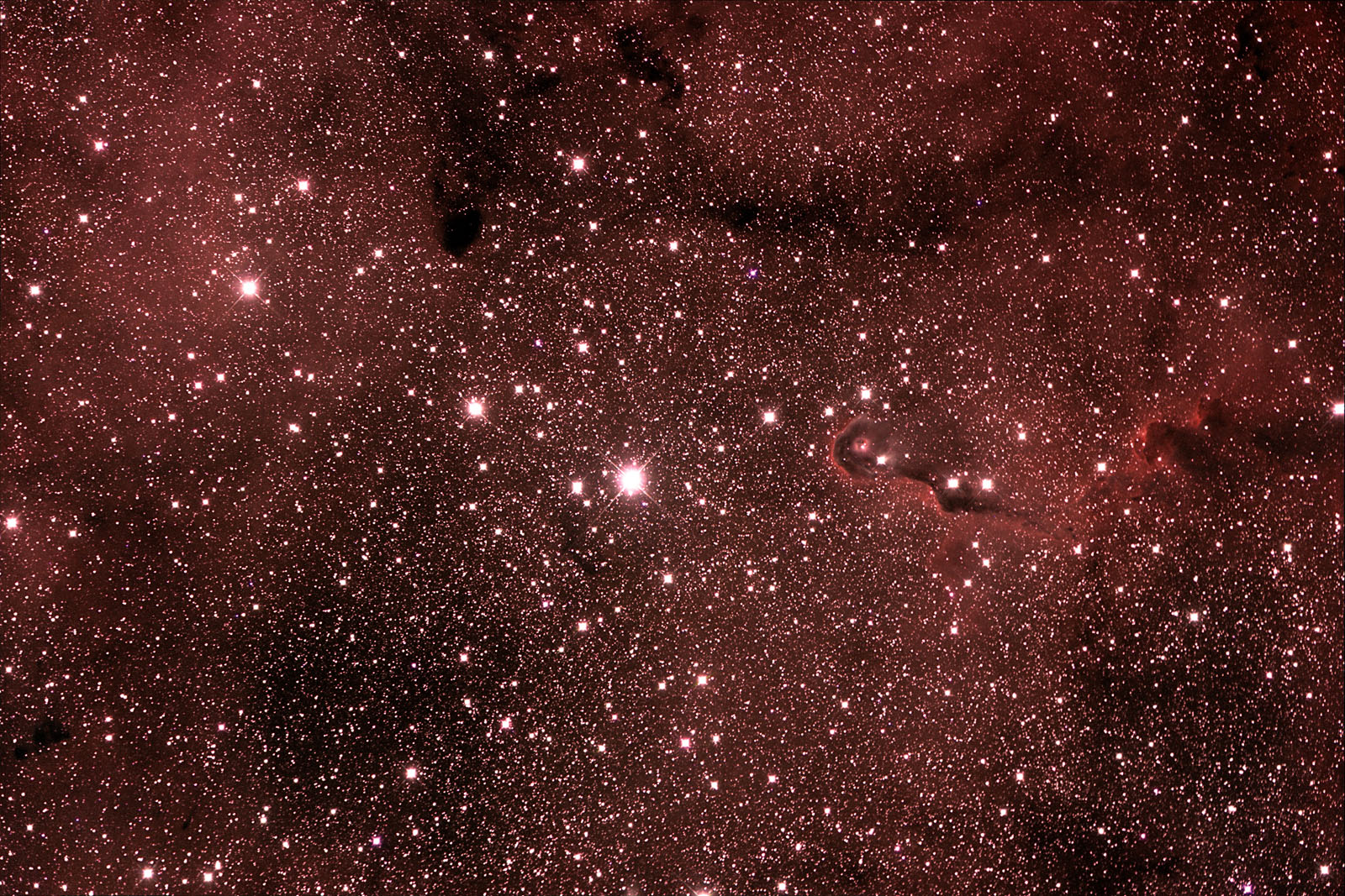 IC1396 - Elephants Trunk