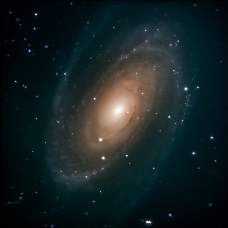 M81